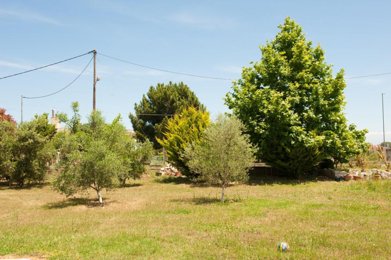 Olives Estate Apartments Grande Preveza Exteriér fotografie