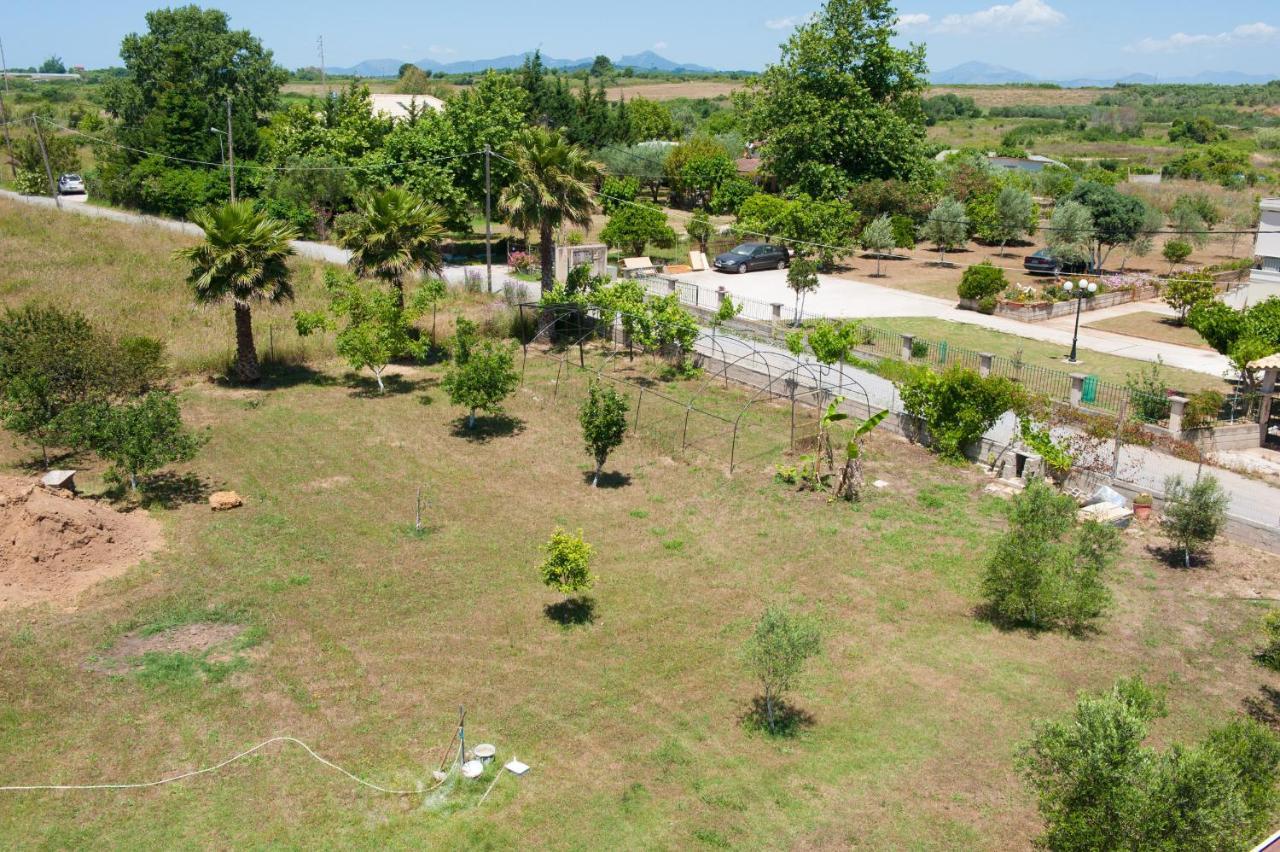 Olives Estate Apartments Grande Preveza Exteriér fotografie