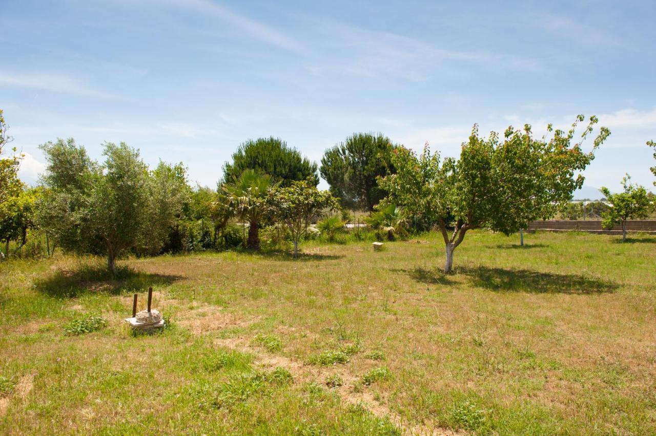 Olives Estate Apartments Grande Preveza Exteriér fotografie